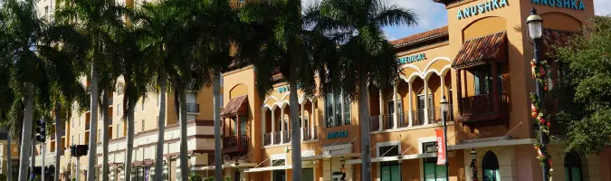Vibrant street with palm trees and shops